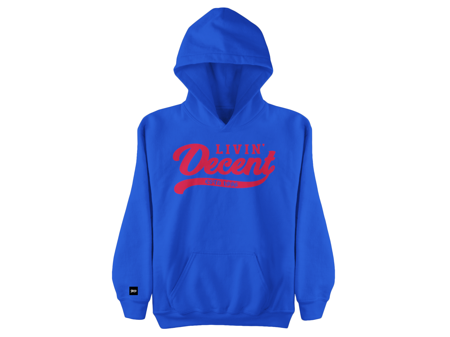 Youth Hoodie